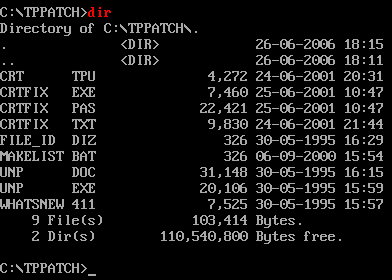 Temporary directory capture